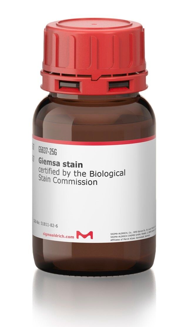 Giemsa Stain