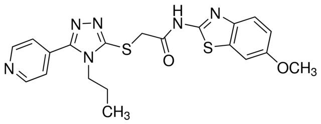 GNF-1331