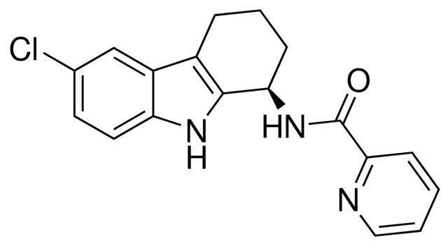 GSK983