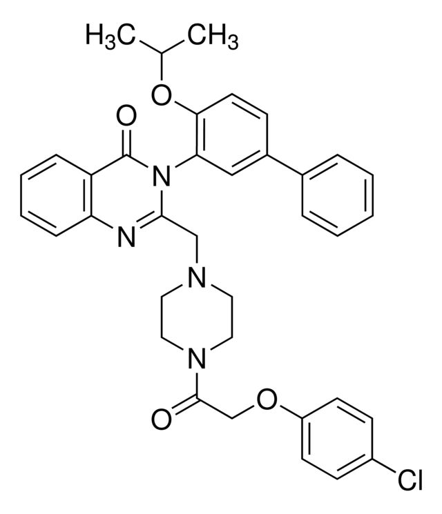 Erastin2