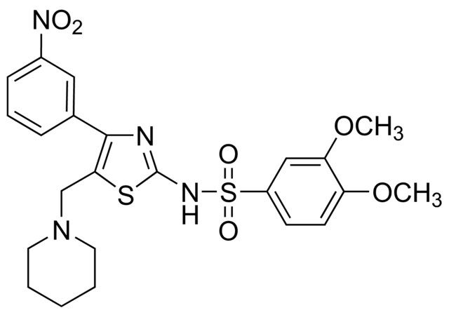 JM6