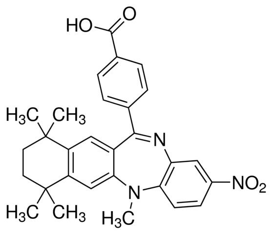 HX531