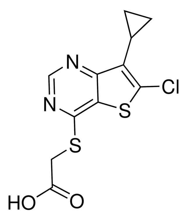 LP-922056