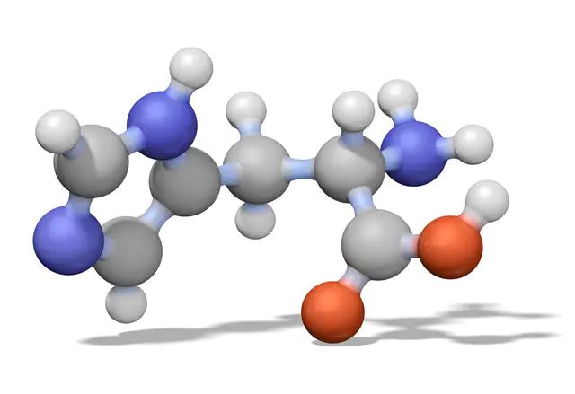 H-Gly-Arg-Ala-Asp-Ser-Pro-OH-Calbiochem