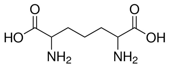 2,6-Diaminopimelic Acid