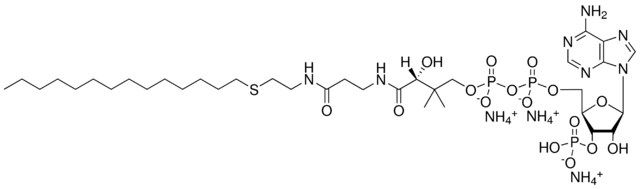 14:0 Ether Coenzyme A