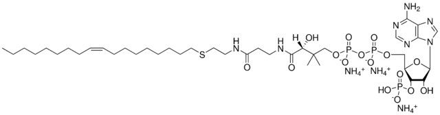 18:1 ether Coenzyme A