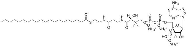 20:0 Coenzyme A