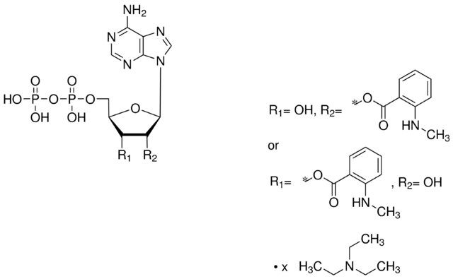 Mant-ADP triethylammonium salt solution