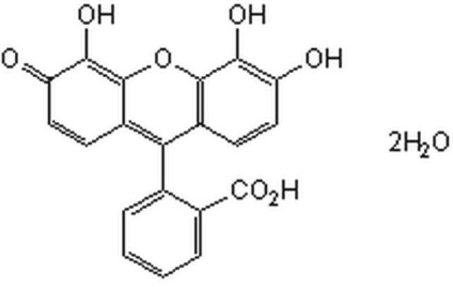 G¦ Modulator II, Gallein-CAS 2103-64-2-Calbiochem