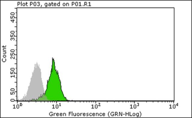 Anti-ASC Antibody, clone 2EI-7