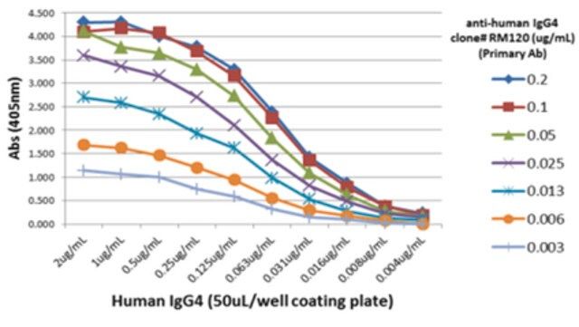 Rabbit-Anti-Human IgG4 Antibody, clone RM120