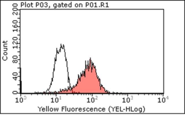 Anti-IL-18 Antibody, clone 12E7.1