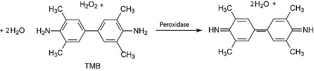 3,3,5,5-Tetramethylbenzidine Liquid Substrate, Slow Kinetic Form, for ELISA