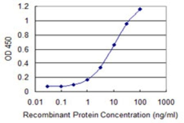 Monoclonal Anti-UGT1A6 antibody produced in mouse