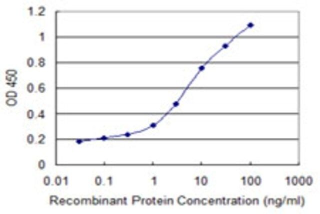 Monoclonal Anti-PCDHB11 antibody produced in mouse