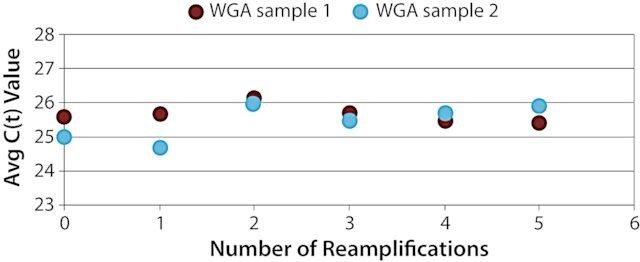 GenomePlex<sup>®</sup> WGA Reamplification Kit