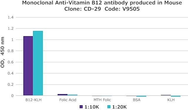 Monoclonal Anti-Vitamin B<sub>12</sub> antibody produced in mouse