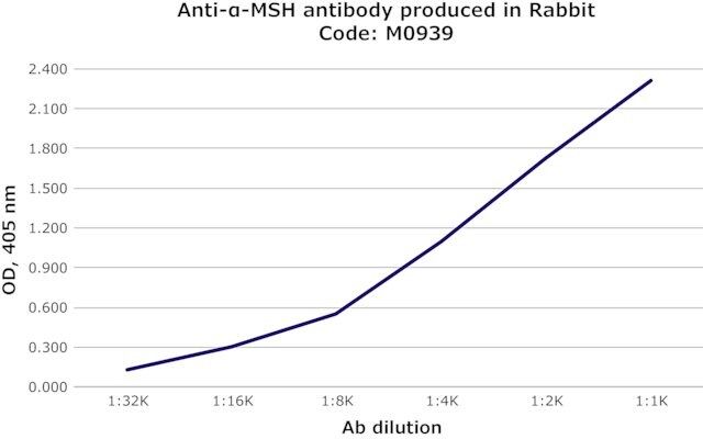 Anti--MSH antibody produced in rabbit