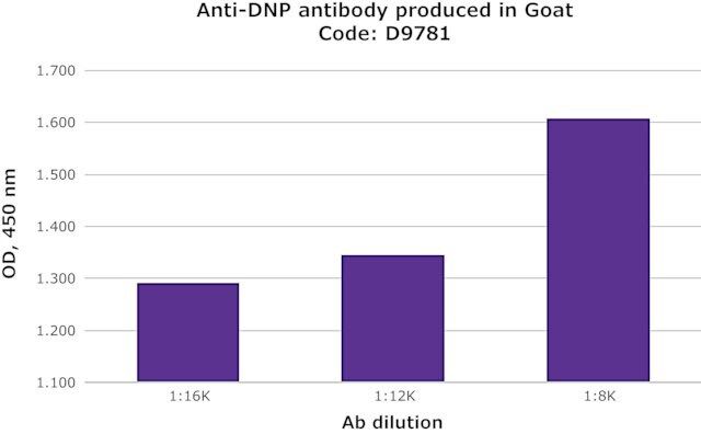 Anti-DNP antibody produced in goat