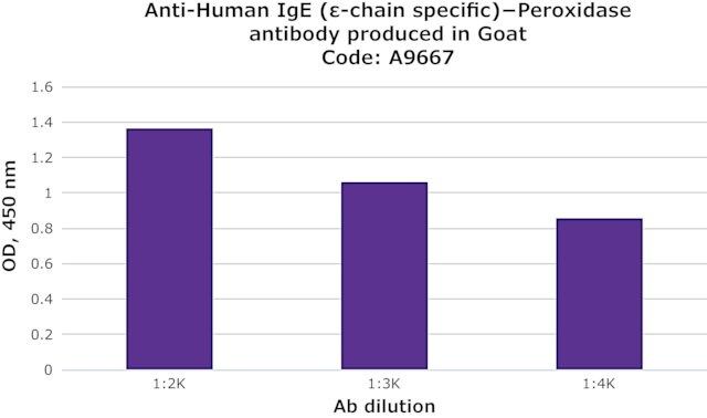 Anti-Human IgE (-chain specific)-Peroxidase antibody produced in goat