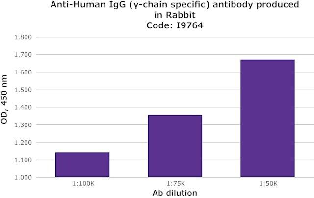 Anti-Human IgG (-chain specific) antibody produced in rabbit