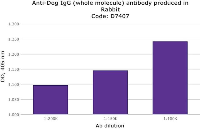 Anti-Dog IgG (whole molecule) antibody produced in rabbit