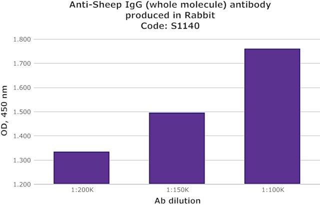 Anti-Sheep IgG (whole molecule) antibody produced in rabbit