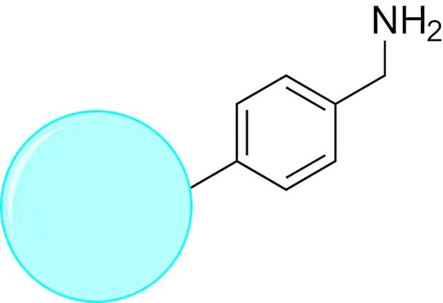 TurboBeads<sup>TM</sup> Amine