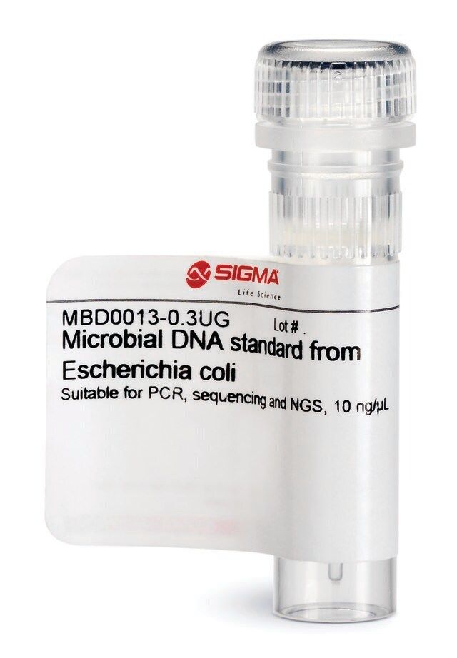 Microbial DNA standard from <i>Escherichia coli</i>