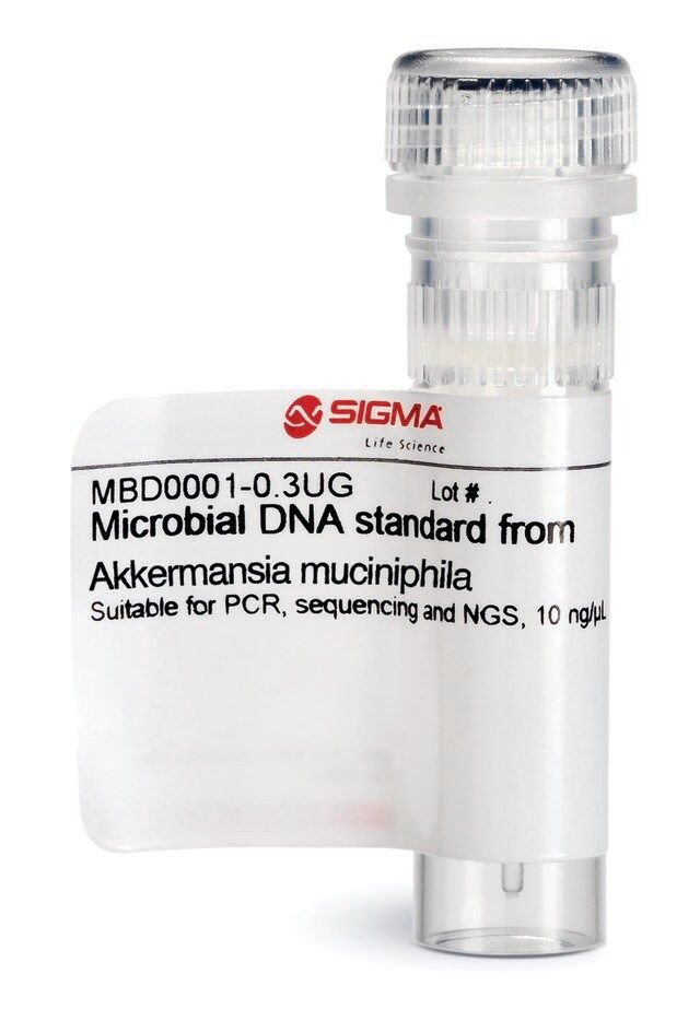 Microbial DNA standard from <i>Akkermansia muciniphila</i>