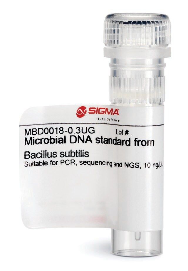 Microbial DNA standard from <i>Bacillus subtilis</i>