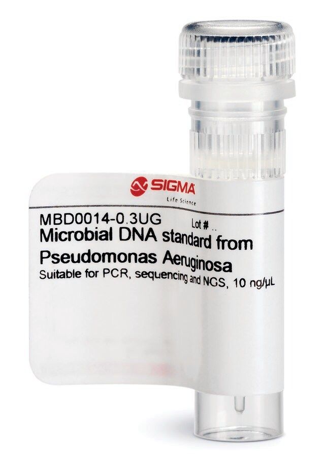 Microbial DNA standard from <i>Pseudomonas Aeruginosa</i>