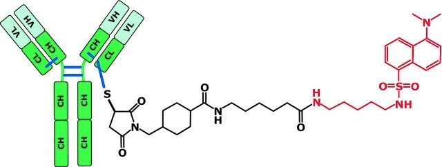 SigmaMAb Antibody Drug Conjugate (ADC) Mimic