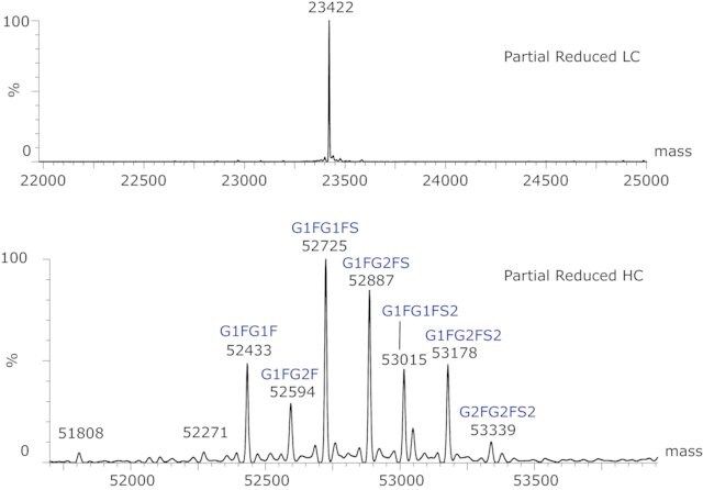 SILu<sup>TM</sup>Lite SigmaMAb Cetuximab Monoclonal Antibody