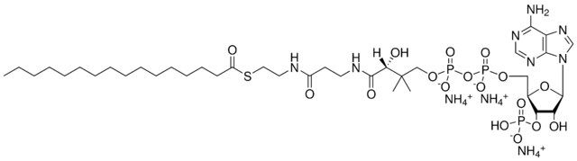 16:0 Coenzyme A