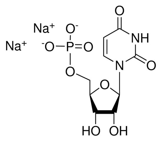 Disodium 5-uridylate