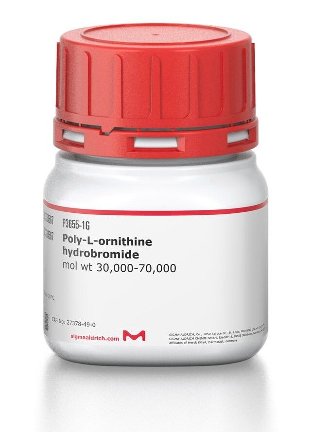 Poly-<sc>L</sc>-ornithine hydrobromide