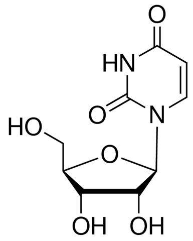 Uridine