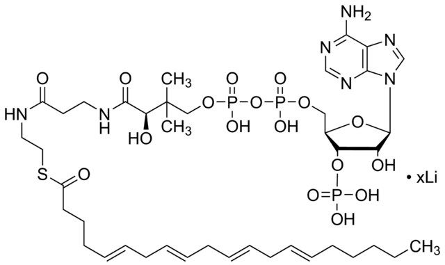 Arachidonoyl coenzyme A lithium salt