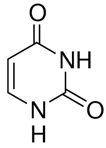 Uracil