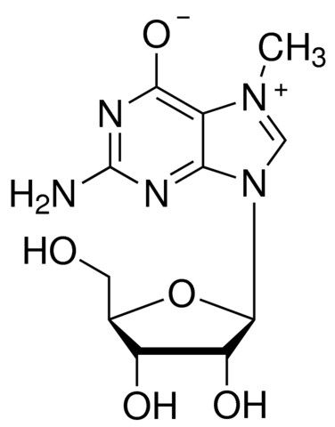 7-Methylguanosine