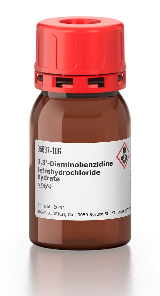 3,3-Diaminobenzidine tetrahydrochloride hydrate