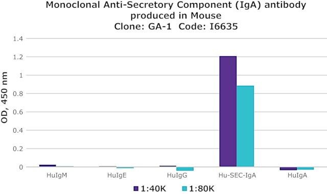 Monoclonal Anti-Secretory Component (IgA) antibody produced in mouse