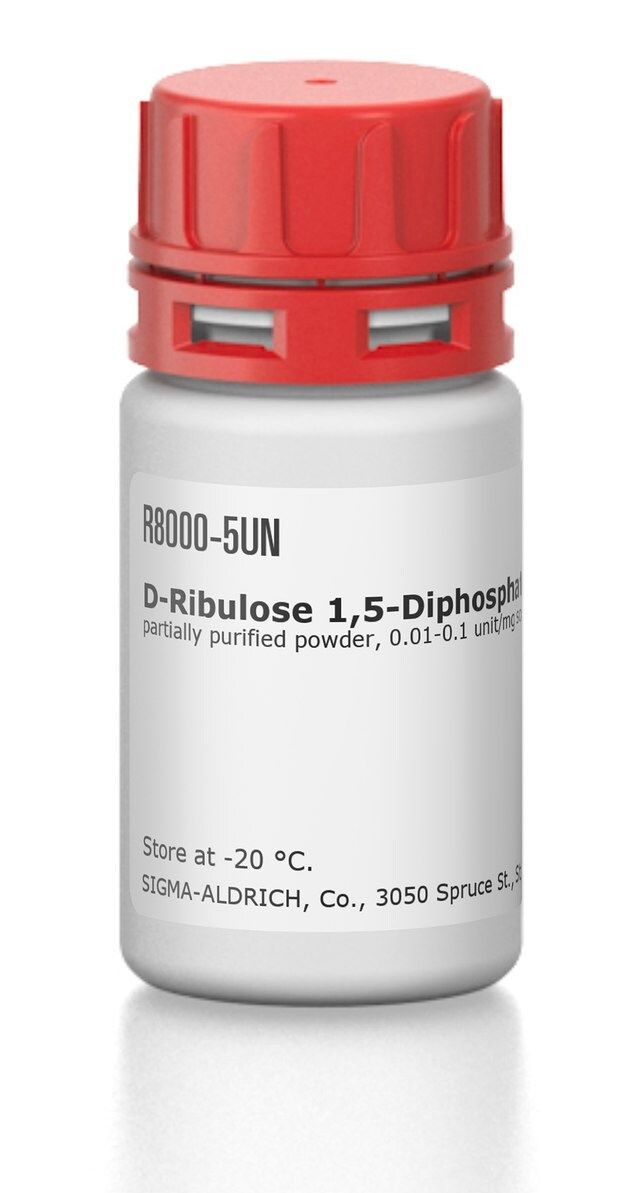 <sc>D</sc>-Ribulose 1,5-Diphosphate Carboxylase from spinach