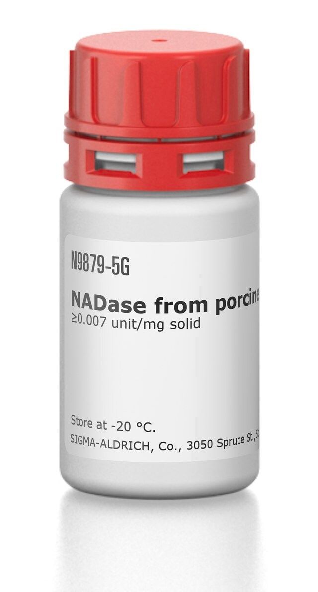 NADase from porcine brain