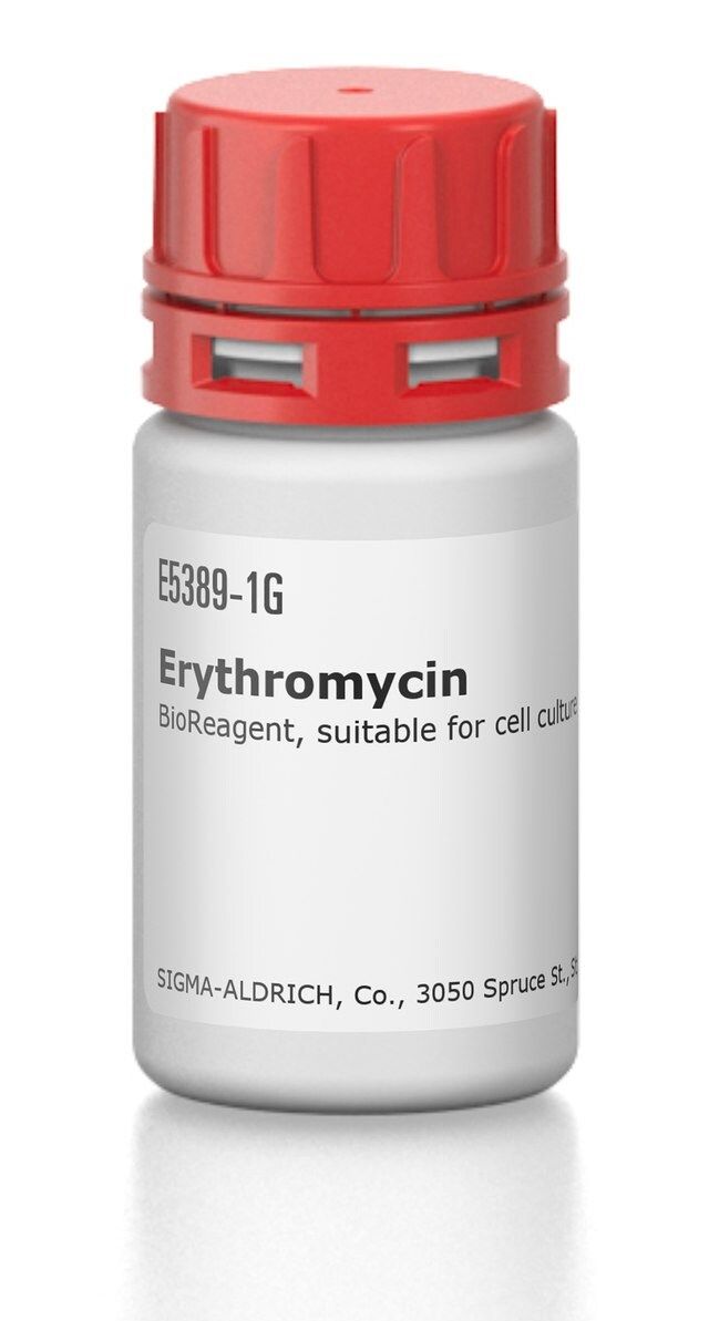 Erythromycin