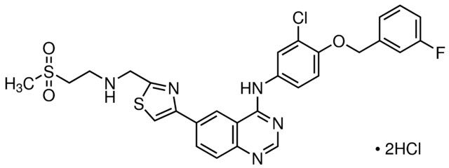 GW583340 dihydrochloride