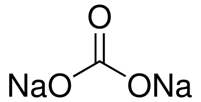 Sodium Carbonate Andydrous