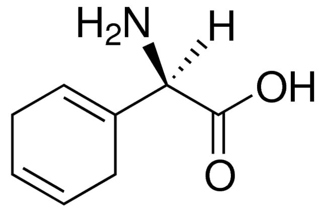 Cyclohexa-1,4-dienylglycine